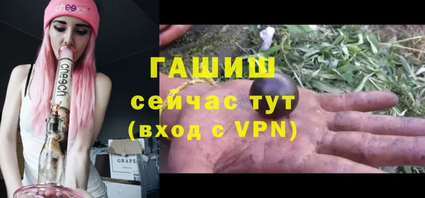 молекула духа Горняк