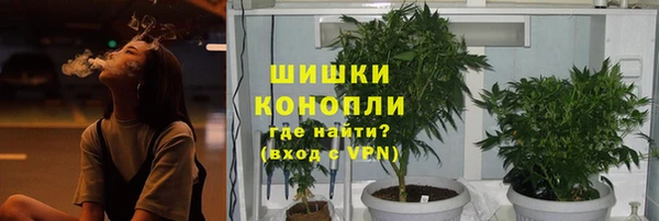 молекула духа Горняк