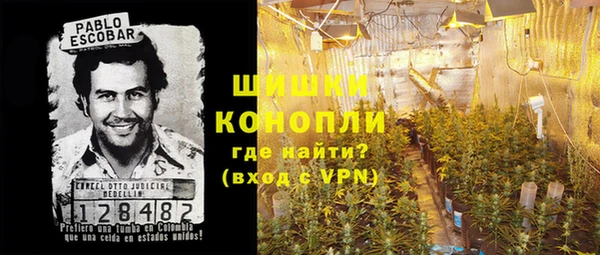 первитин Дмитриев