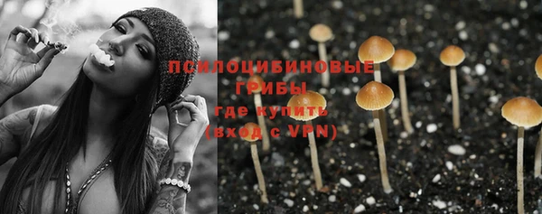 дмт Горно-Алтайск